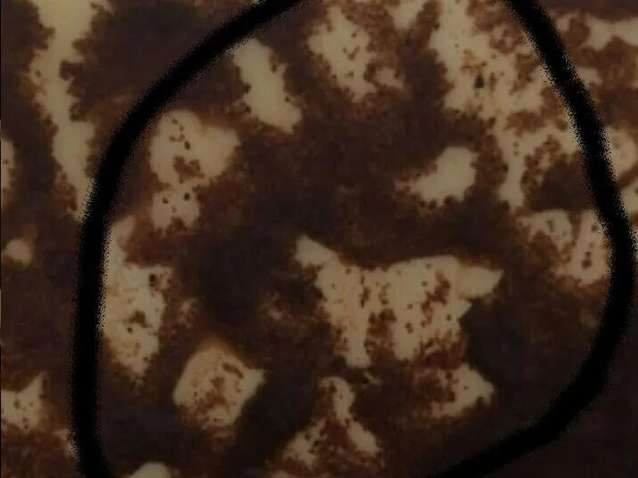 Запись на прием к гадалке в Тихвине